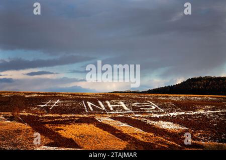 NHS initials cut in the heather on the North York Moors to show support for the NHS during the Covid pandemic. Stock Photo