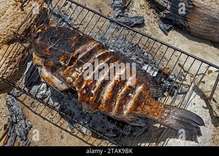 Freshly caught fish grilled on simple barbecue on the beach at the fishing village Andavadoaka near Morombe, Atsimo-Andrefana Region, Madagascar Stock Photo