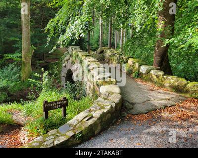 Fall image of Foley's Bridge, built in 1787, located in Tolleymore Forest Park in Northern Ireland. Stock Photo