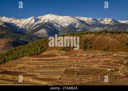 Snow-capped Cerdanya mountains in late autumn. Puigpedrós summit (Cerdanya, Catalonia, Spain, Pyrenees) ESP: Montañas de la Cerdanya nevadas Stock Photo