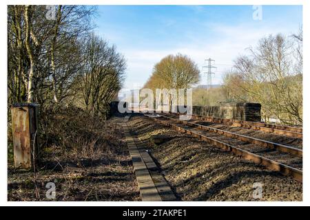 Railway Bridge at Copley Stock Photo