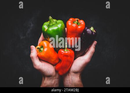 Hands with different bell peppers. View from above Stock Photo
