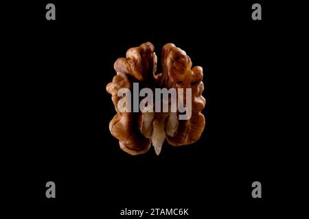 Walnuts on a black brown background. Stock Photo