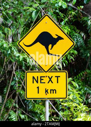 Warning sign along the road for Kangaroo and wildlife. Queensland,  Australia. Stock Photo