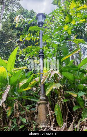 Urban lighting lamp in a tropical park, Thailand Stock Photo