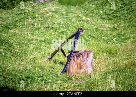 a scythe leaning against a tree stump with cut green grass in the background Stock Photo