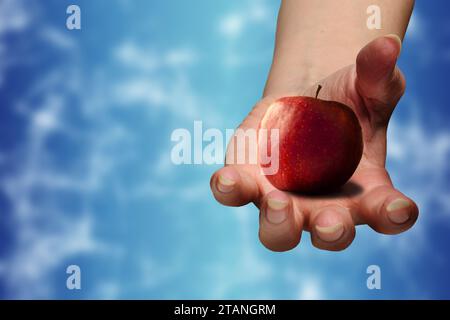 woman hand holding a red apple with copy space Stock Photo
