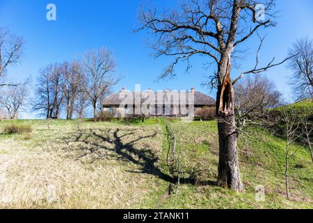 an old wooden house on the top of a hill and an old tree with a shadow in the grass on the background of a blue sky Stock Photo