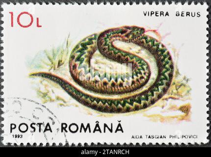 Cancelled postage stamp printed by Romania, that shows Adder (Vipera berus), circa 1993. Stock Photo