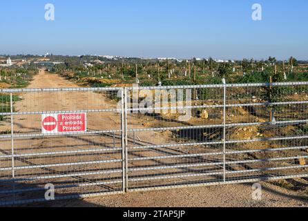 Portugal, Avocado farming PORTUGAL, Algarve, Lagos, Avocado tree plantation with drip irrigation, avocado farming needs much water for irrigation *** Avocado Anbau mit Tröpfchenbewässerung, fuer die Bewaesserung wird viel Wasser verbraucht Lagos Algarve Portugal Credit: Imago/Alamy Live News Stock Photo