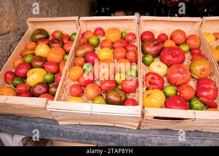 fruits et legumes sur un etalage de marché - fruit and vegetables on a market display Stock Photo