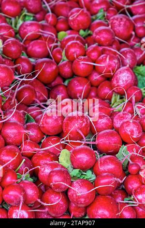 fruits et legumes sur un etalage de marché - fruit and vegetables on a market display Stock Photo