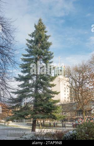 Xmas tree, with Newcastle Civic Centre in the background, Newcastle upon Tyne, England, UK Stock Photo