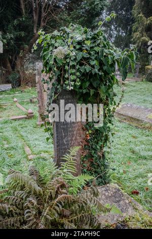 Frosty Winter's day in a cemetery in Cardiff, Wales. Ivy-covered gravestone. Evocative, sad, mournful, Gothic, Death, Afterlife. Concepts. Stock Photo