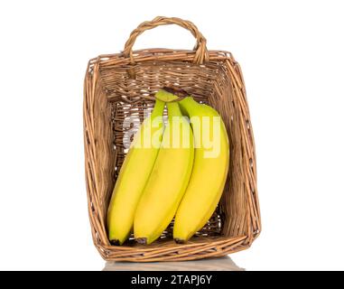 Several ripe bright yellow bananas in a basket, macro, isolated on a white background. Stock Photo