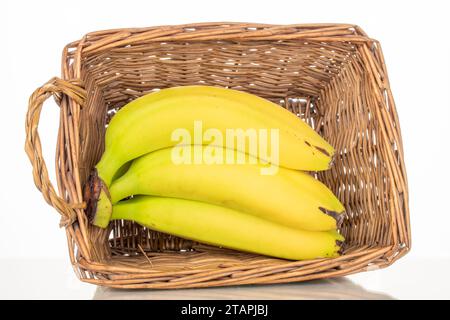 Several ripe bright yellow bananas in a basket, macro, isolated on a white background. Stock Photo