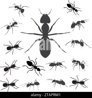 Aint trail. Ant column. Black insect silhouettes trip. Teamwork, hard work concept. Stock Vector