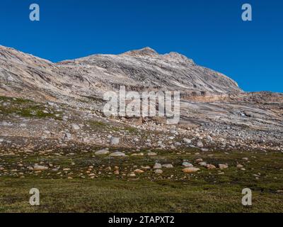 landscape with moss and stones in greenland Stock Photo