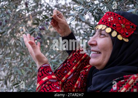 Portrait Of woman wearing palestinian traditional clothes in olive trees field holding branch in her hand with smile on her face Stock Photo