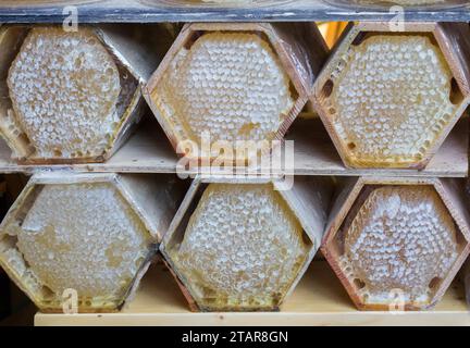 Sweet fresh honey in the sealed comb frame Stock Photo