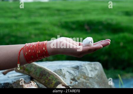 hand of an indigenous woman with orange handles on her wrist holding the hairy fruit of the guaba. guaba day Stock Photo