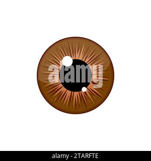 Human brown eyeball iris pupil isolated on white background. Eye Vector Illustration Stock Vector