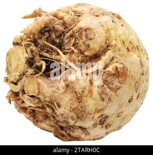 Celery root fresh organic and isolated Stock Photo