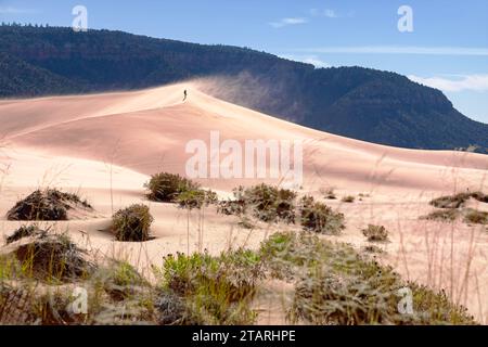 Coral Pink Sand Dunes State Park, Utah, USA. Pink sand dunes form from sandstone erosion perfect for sandboarding. Stock Photo