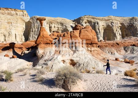 Toadstool Hoodoos unusual rock formations in Utah, Escalante National Monument. USA. Stock Photo