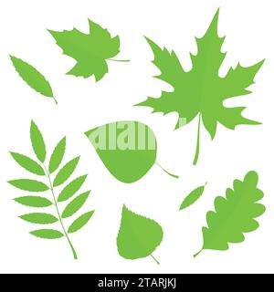 Set of green Spring Leaves in flat style isolated on white background. Vector Illustration. Stock Vector