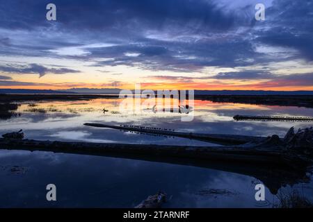 Blue sky and orange horizon at sunset over Skagit bay Stock Photo