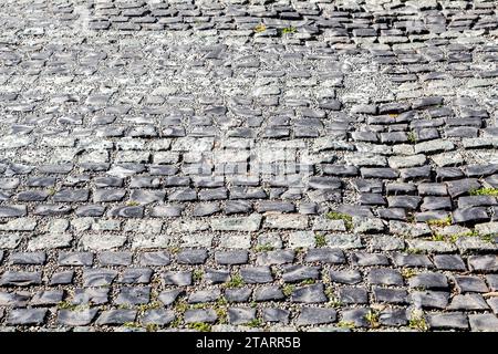 travel to Georgia - cobblestone pavement on street in Batumi city on autumn day Stock Photo