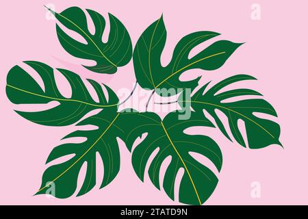 Green palm leaves pattern for nature concept, tropical leaf on pink background. Stock Vector