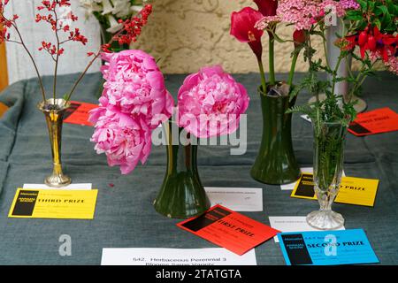 Marchwood Park, Motueka, Tasman District, Aotearoa / New Zealand – December 2, 2023: Flower show competition winners, Motueka A and P show. Non-ticket Stock Photo