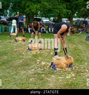 Marchwood Park, Motueka, Tasman District, Aotearoa / New Zealand – December 2, 2023: Men and women compete in an axe wood chopping competition at the Stock Photo