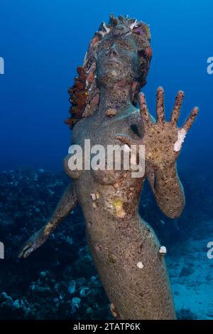The Siren at Sunset House in Grand Cayman. Underwater sculpture by Simon Morris. Stock Photo