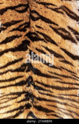 Tiger pattern / Beautiful real bengal tiger texture skin black orange ...