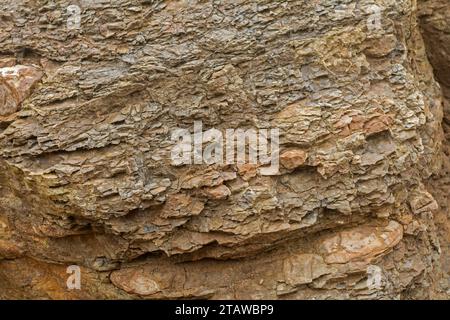 Texture on a rock surface Stock Photo