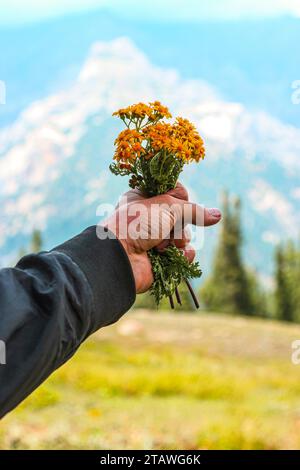 A hand holding a bunch of flowers against the blue sky. Stock Photo