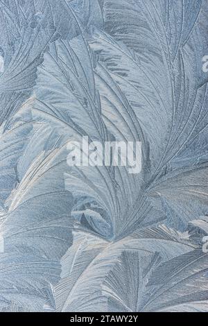 Ice Flowers on a Window Stock Photo
