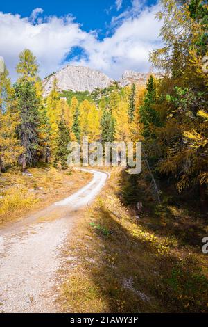 Walking path in the Dolomite Mountains in autumn Stock Photo