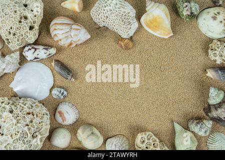 pile of sea shells on clean beach sand. Close up, beach sand texture Stock Photo