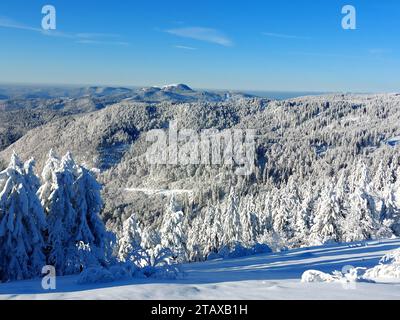 Feldberg Themenbild - Wintersport, Skifahren, Skispass auf dem Feldberg, Saisoneröffnung, Skiopening, Saisonstart 2023/2024 Themenbild - Wintersport, Skifahren, Skispass auf dem Feldberg, Saisoneröffnung, Skiopening, Saisonstart 2023/2024 Weitblick vom Feldberg auf den benachbarten Belchengipfel Winterwonderland, Saisoneröffnung Skifahren auf dem 1493 m hohen Feldberg bei herrlichem Sonnenschein und eisigen Temperaturen und bestem Winterwetter. Der Feldberg ist der höchste Gipfel des Schwarzwaldes. *** Feldberg Themed image winter sports, skiing, skiing fun on the Feldberg, season opening, ski Stock Photo