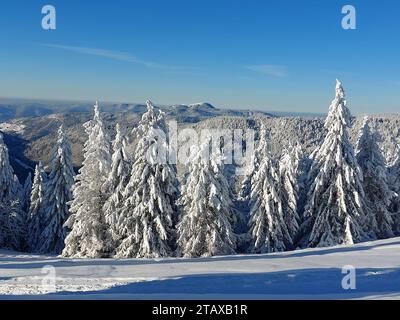 Feldberg Themenbild - Wintersport, Skifahren, Skispass auf dem Feldberg, Saisoneröffnung, Skiopening, Saisonstart 2023/2024 Themenbild - Wintersport, Skifahren, Skispass auf dem Feldberg, Saisoneröffnung, Skiopening, Saisonstart 2023/2024 Weitblick vom Feldberg auf den benachbarten Belchengipfel Winterwonderland, Saisoneröffnung Skifahren auf dem 1493 m hohen Feldberg bei herrlichem Sonnenschein und eisigen Temperaturen und bestem Winterwetter. Der Feldberg ist der höchste Gipfel des Schwarzwaldes. *** Feldberg Themed image winter sports, skiing, skiing fun on the Feldberg, season opening, ski Stock Photo