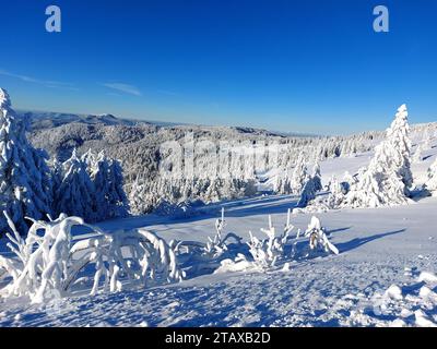 Feldberg Themenbild - Wintersport, Skifahren, Skispass auf dem Feldberg, Saisoneröffnung, Skiopening, Saisonstart 2023/2024 Themenbild - Wintersport, Skifahren, Skispass auf dem Feldberg, Saisoneröffnung, Skiopening, Saisonstart 2023/2024 Weitblick vom Feldberg auf den benachbarten Belchengipfel Winterwonderland, Saisoneröffnung Skifahren auf dem 1493 m hohen Feldberg bei herrlichem Sonnenschein und eisigen Temperaturen und bestem Winterwetter. Der Feldberg ist der höchste Gipfel des Schwarzwaldes. *** Feldberg Themed image winter sports, skiing, skiing fun on the Feldberg, season opening, ski Stock Photo