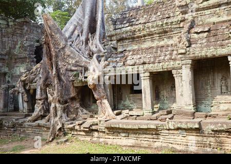 Preah Khan Temple in Angkor, Cambodia, was created by Jayavarman VII in the 12th century Stock Photo