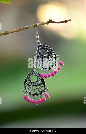 closeup the pair of silver metal ear ring with pink color beads hold on the plant branch soft focus natural green brown background. Stock Photo
