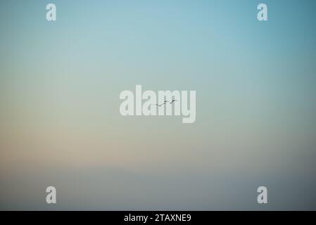 Two seagulls flying high up in the sky, in front of a gradient background Stock Photo