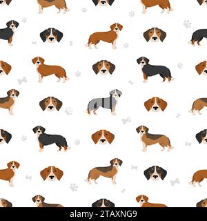 Westphalian dachsbracke seamless patternclipart. All coat colors set.  All dog breeds characteristics infographic. Vector illustration Stock Vector