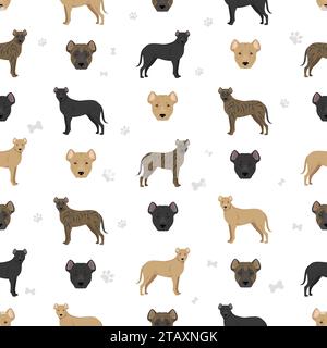 Uruguayan Cimarron seamless pattern. All coat colors set.  All dog breeds characteristics infographic. Vector illustration Stock Vector
